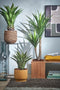Mica Decorations Agave Kunstplant - H80 x Ø80 cm - Groen
