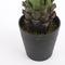 Mica Decorations Agave Kunstplant - H80 x Ø80 cm - Groen