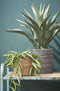 Mica Decorations Agave Kunstplant - H80 x Ø80 cm - Groen