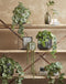 Mica Decorations Amber Bloempot - H21 x Ø23,5 cm - Mat - Donkergrijs