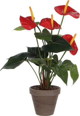 Mica Decorations Anthurium Kunstplant in Bloempot Stan - H38 x Ø30 cm - Rood