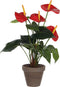 Mica Decorations Anthurium Kunstplant in Bloempot Stan - H38 x Ø30 cm - Rood