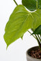 Mica Decorations Anthurium Kunstplant in Bloempot Stan - H38 x Ø30 cm - Rood