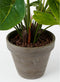 Mica Decorations Anthurium Kunstplant in Bloempot Stan - H38 x Ø30 cm - Rood