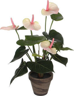 Mica Decorations Anthurium Kunstplant in Bloempot Stan - H40 x Ø30 cm - Lichtroze