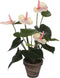 Mica Decorations Anthurium Kunstplant in Bloempot Stan - H40 x Ø30 cm - Lichtroze