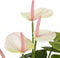 Mica Decorations Anthurium Kunstplant in Bloempot Stan - H40 x Ø30 cm - Lichtroze