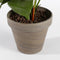 Mica Decorations Anthurium Kunstplant in Bloempot Stan - H40 x Ø30 cm - Lichtroze
