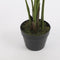 Mica Decorations Areca Palm Kunstplant - H110 x Ø100 cm