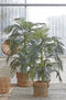 Mica Decorations Areca palm Kunstplant - H150 x Ø100 cm - groen