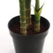 Mica Decorations Areca palm Kunstplant - H170 x Ø115 cm - groen