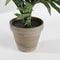 Mica Decorations Areca Palm Kunstplant in Bloempot Stan - H45 x Ø60 cm - Groen
