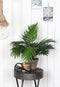 Mica Decorations Areca Palm Kunstplant in Bloempot Stan - H45 x Ø60 cm - Groen
