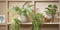 Mica Decorations Areca Palm Kunstplant in Bloempot Stan- H53 x Ø45 cm - Groen