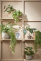 Mica Decorations Areca Palm Kunstplant in Bloempot Stan- H53 x Ø45 cm - Groen