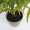 Mica Decorations Areca Palm Kunstplant in Bloempot Stan- H53 x Ø45 cm - Groen