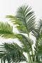 Mica Decorations Areca Palm Kunstplant in Pot - H134 x Ø50 cm - Groen