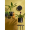 Mica Decorations Aries Bloempot - Set van 3 - H32 x Ø24 cm - Zwart