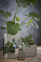 Mica Decorations Ascot Plantenstandaard - L24 x B24 x H25 cm - Metaal - Zwart