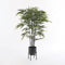 Mica Decorations Ascot Plantenstandaard - L24 x B24 x H25 cm - Metaal - Zwart