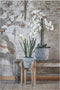 Mica Decorations Ascot Plantenstandaard - L33 x B33 x H48 cm - Hout - Lichtbruin