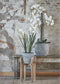 Mica Decorations Ascot Plantenstandaard - L33 x B33 x H48 cm - Hout - Lichtbruin