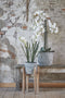 Mica Decorations Ascot Plantenstandaard - L33 x B33 x H48 cm - Hout - Lichtbruin