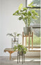 Mica Decorations Ascot Plantenstandaard - L38 x B38 x H60 cm - Hout - Lichtbruin