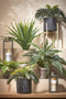 Mica Decorations Asplenium Kunstplant in Bloempot Stan - H54 x Ø66 cm - Groen