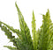 Mica Decorations Asplenium Kunstplant in Bloempot Stan - H54 x Ø66 cm - Groen