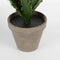 Mica Decorations Asplenium Kunstplant in Bloempot Stan - H54 x Ø66 cm - Groen