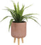 Mica Decorations Asplenium Kunstplant in Bloempot Stan - H54 x Ø66 cm - Groen