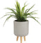 Mica Decorations Asplenium Kunstplant in Bloempot Stan - H54 x Ø66 cm - Groen