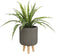 Mica Decorations Asplenium Kunstplant in Bloempot Stan - H54 x Ø66 cm - Groen