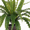 Mica Decorations Asplenium Kunstplant in Bloempot Stan - H54 x Ø66 cm - Groen