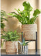 Mica Decorations Atlantic Mand voor Planten - H18 x Ø18 cm - Zeegras - Lichtbruin