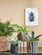 Mica Decorations Atlantic Plantenmand - Set van 2 - H20 x Ø20 cm - Zeegras - Lichtbruin
