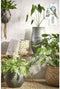Mica Decorations Avalon Plantenmand - H31 x Ø30 cm - Lichtbruin