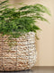 Mica Decorations Avalon Plantenmand - Set van 3 - H31 x Ø30 cm - Zeegras - Lichtbruin