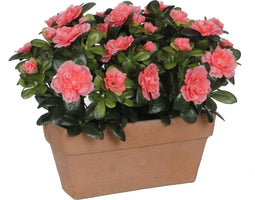 Mica Decorations Azalea Kunstplant in Balkonbak Slate - L29 x B13 x H27 cm - Perzik