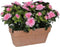 Mica Decorations Azalea Kunstplant in Balkonbak Slate - L29 x B13 x H27 cm - Roze