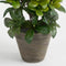 Mica Decorations Azalea Kunstplant in Bloempot Stan - H27 x Ø20 cm - Wit