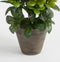 Mica Decorations Azalea Kunstplant in Bloempot Stan - H27 x Ø20 cm - Wit