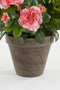 Mica Decorations Azalea Kunstplant in Bloempot Stan - H31 x Ø26 cm - Perzik