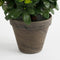 Mica Decorations Azalea Kunstplant in Bloempot Stan - H31 x Ø26 cm - Wit