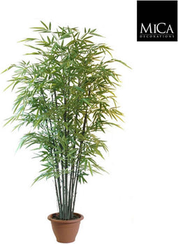 Mica Decorations bamboe h210d90 groen in pot