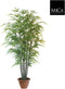 Mica Decorations bamboe h210d90 groen in pot