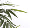 Mica Decorations Bamboe Kunstplant - H150 x Ø75 cm - groen