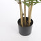 Mica Decorations Bamboe Kunstplant - H150 x Ø75 cm - groen