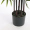Mica Decorations Bamboe Kunstplant - H150 x Ø95 cm - Groen
